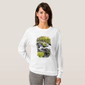 コケによって流れる水は流れの石を覆いました Tシャツ (正面フル)