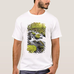 コケによって流れる水は流れの石を覆いました Tシャツ