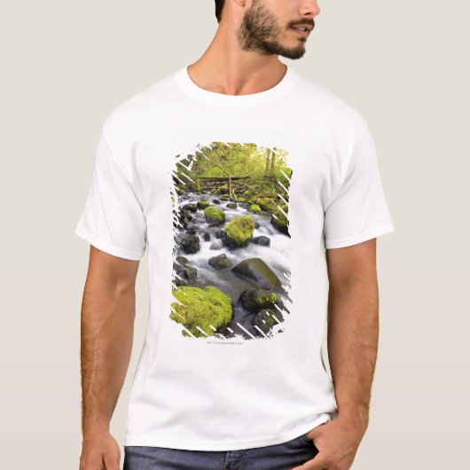 コケによって流れる水は流れの石を覆いました Tシャツ (正面)