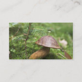 コケのきのこ 名刺 (裏面)