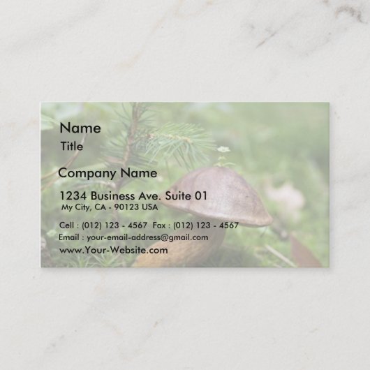 コケのきのこ 名刺 (正面)