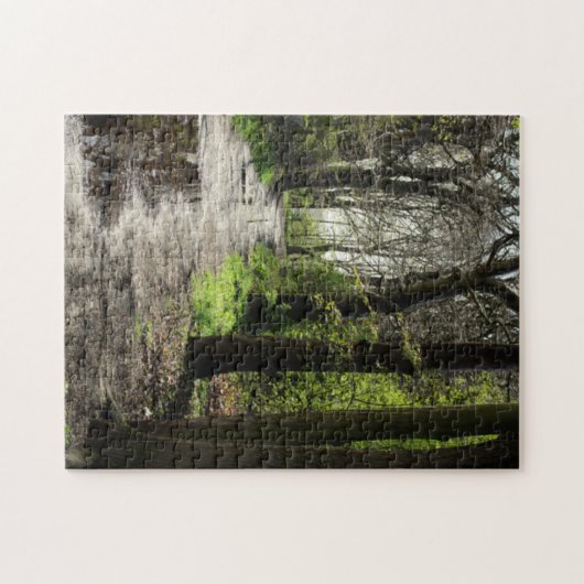 コケのぬれた雨水溜道は木の森林を覆いました ジグソーパズル (横)