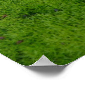 コケのカーペット – 五月道 – アイリッシュ賛美ズ ポスター (角)