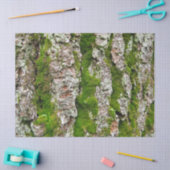 コケのティッシュペーパーが付いている松の木の吠え声 薄葉紙 (クラフト)