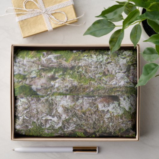 コケのティッシュペーパーが付いている松の木の吠え声 薄葉紙 (ギフト)