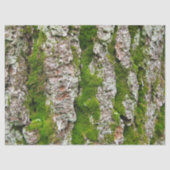 コケのティッシュペーパーが付いている松の木の吠え声 薄葉紙 (正面)