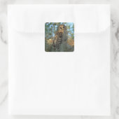 コケの中で鶏を飼っているスペインのバードフクロウ スクエアシール (バッグ)