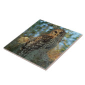 コケの中で鶏を飼っているスペインのバードフクロウ タイル (側面)