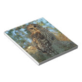 コケの中で鶏を飼っているスペインのバードフクロウ ノートパッド (アングル)