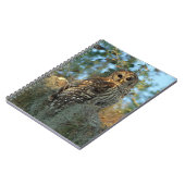 コケの中で鶏を飼っているスペインのバードフクロウ ノートブック (左側)