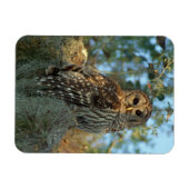 コケの中で鶏を飼っているスペインのバードフクロウ マグネット (横)