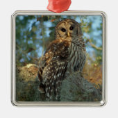 コケの中で鶏を飼っているスペインのバードフクロウ メタルオーナメント (正面)