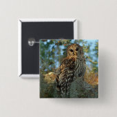 コケの中で鶏を飼っているスペインのバードフクロウ 缶バッジ (正面&裏面)