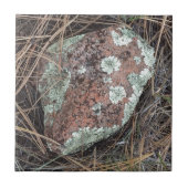 コケの石の地衣 タイル (正面)