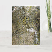 コケの近い木の樹皮 カード (正面)