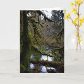 コケの館 カード (黄色い花)