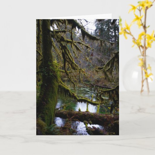 コケの館 カード (黄色い花)