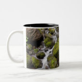 コケはぼやけられた水およびシダで石を覆いました ツートーンマグカップ (左)
