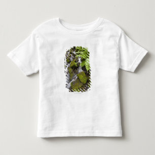 コケはぼやけられた水およびシダで石を覆いました トドラーTシャツ