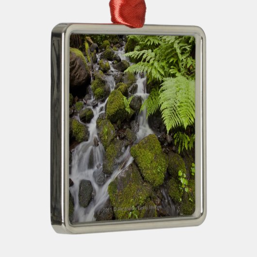 コケはぼやけられた水およびシダで石を覆いました メタルオーナメント (右)