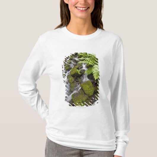 コケはぼやけられた水およびシダで石を覆いました Tシャツ (正面)