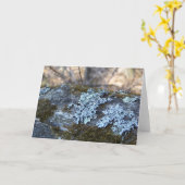 コケむしたカシの丸太の挨拶状 カード (黄色い花)