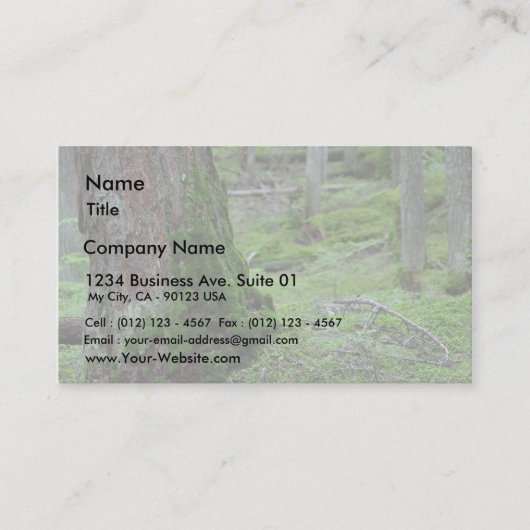 コケむした木の森林森 名刺 (正面)