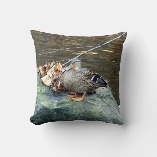 コケむした石の枕のマガモのアヒル(メス) クッション (正面)