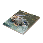 コケむした石の(女性の)セラミックタイルのマガモのアヒル タイル (側面)