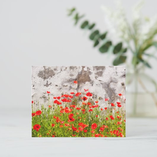 コケシ ポストカード (スタンド正面)