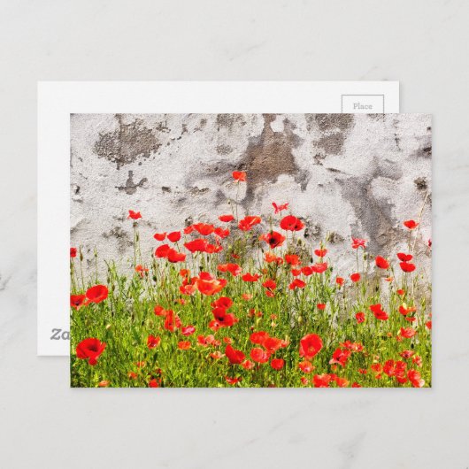 コケシ ポストカード (正面/裏面)