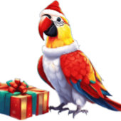 コケットスタイルフード付きスウェットシャツ パーカ