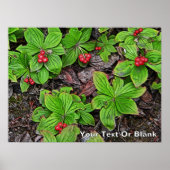 コケモモの実がたくさんあるよ ポスター (正面)