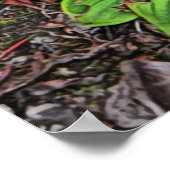 コケモモの実がたくさんあるよ ポスター (角)