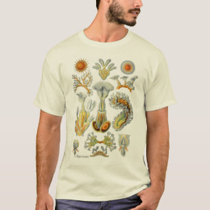 コケ動物 Tシャツ