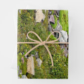 コケ包装紙シート ラッピングペーパーシート (インサイチュ)