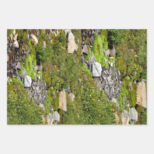 コケ包装紙シート ラッピングペーパーシート (正面)