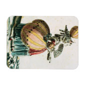 コケ飛んでいるットc.1784 (カラー版木、銅版、版画) マグネット (横)