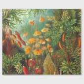 コケ – エルンストヘッケル ラッピングペーパー (フラット)