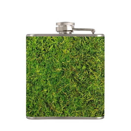 コケ フラスク (裏面)