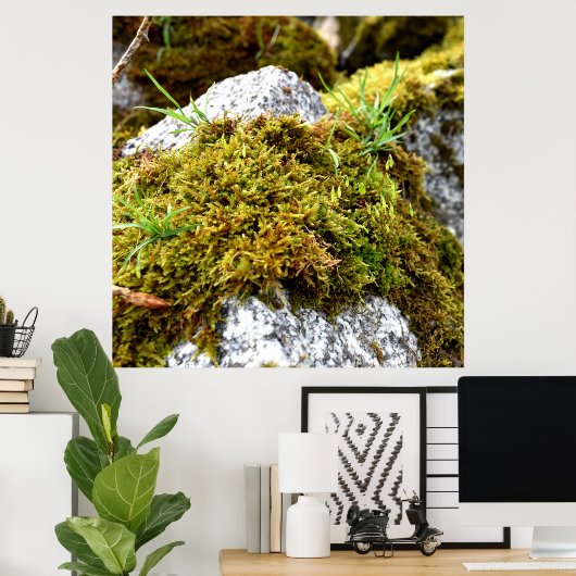 コケ ポスター (ホームオフィス)