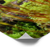 コケ ポスター (角)