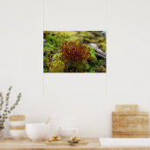 コケ ポスター (キッチン)