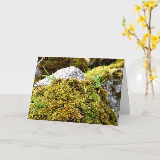 コケ、春目覚め カード (黄色い花)