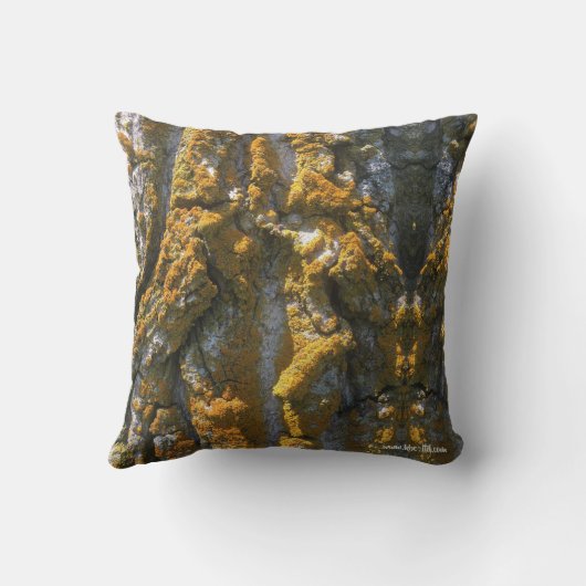 コケ-枕が付いている吠え声 クッション (裏面)