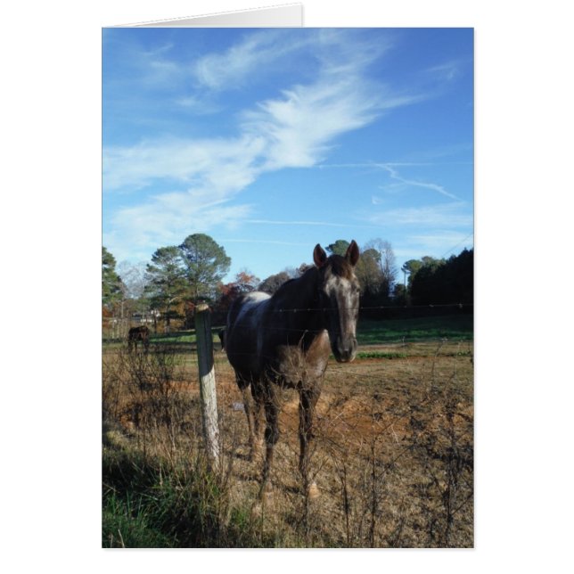 ココとクリームブラウン (正面)