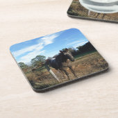 ココとクリームブラウン コースター (左側)