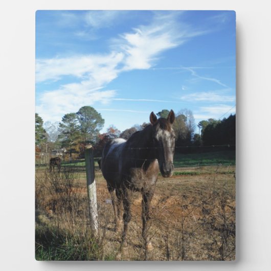 ココとクリームブラウン フォトプラーク (正面)