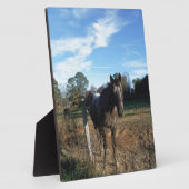 ココとクリームブラウン フォトプラーク (側面)