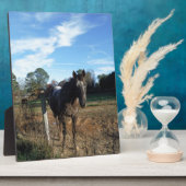 ココとクリームブラウン フォトプラーク (側面)